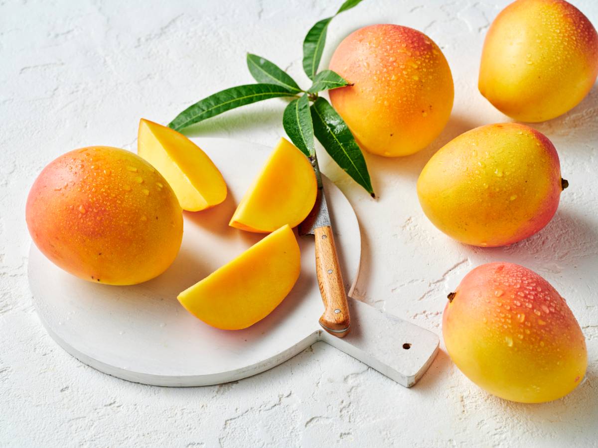 Produce_HR_Calypso Mango_Styled_2024_22