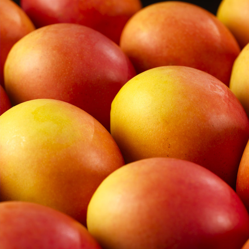 Box Mangoes 0004
