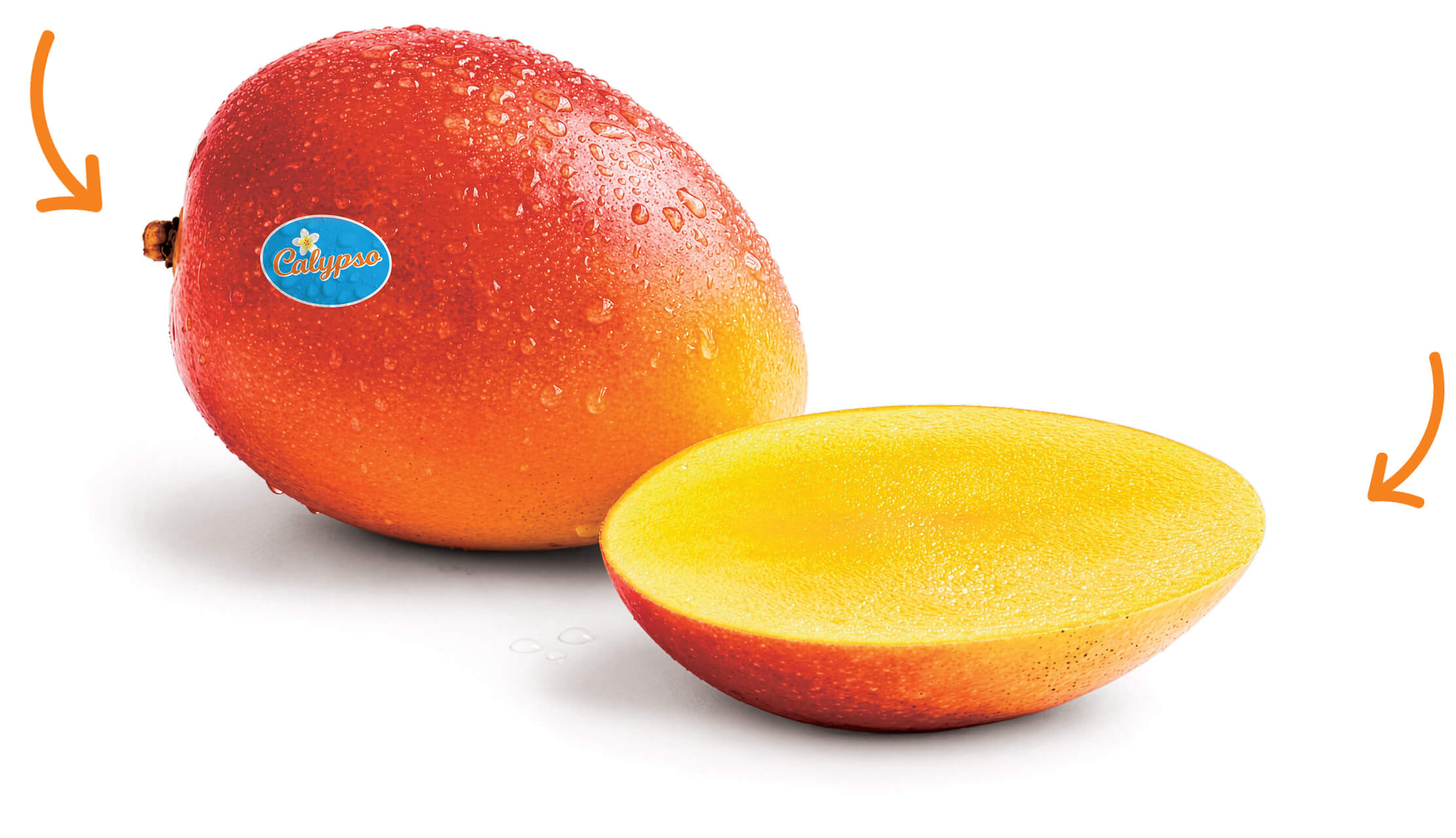 CALYPSO-IS-MANGO