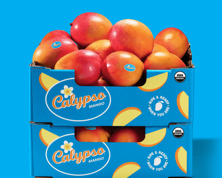 01_BoxofFruit