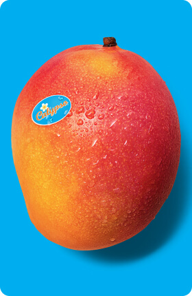03_Store